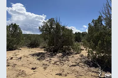 Lt 81A &amp; 101 Twin Lakes Ranches, Walsenburg, CO 81089 - Photo 19