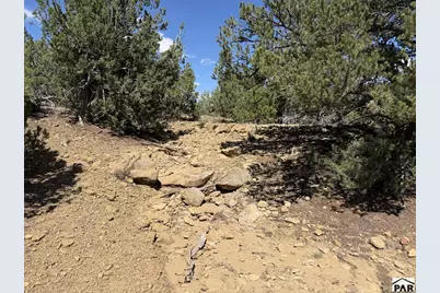 Lt 81A &amp; 101 Twin Lakes Ranches, Walsenburg, CO 81089 - Photo 9