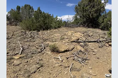 Lt 81A &amp; 101 Twin Lakes Ranches, Walsenburg, CO 81089 - Photo 7