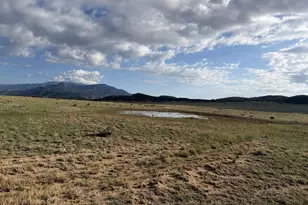 Lot 190 Black Hills, Gardner, CO 81040 - Photo 1