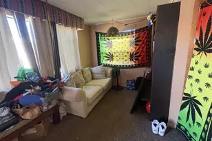 1325 N Elizabeth St, Pueblo, CO 81003 - Photo 43
