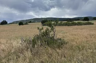 Lot 133 Ghost River Ranch, Rye, CO 81069 - Photo 1