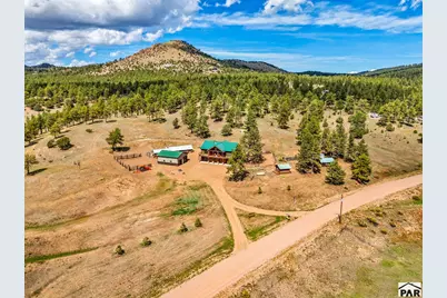 411 Larkspur Lane, Westcliffe, CO 81252 - Photo 9