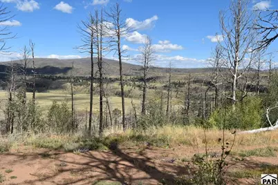 000 Soubry Pl, Fort Garland, CO 81133 - Photo 9