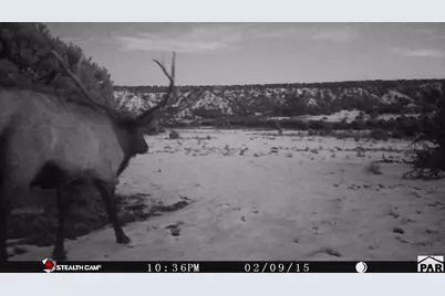 L26 Unit Bb Colorado Land and Grazing, Gardner, CO 81040 - Photo 7