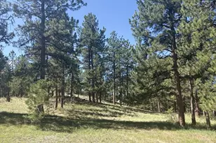 1183 Music Mountain Dr, Westcliffe, CO 81252 - Photo 39