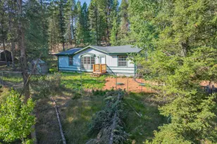 22 Silver Trail, Florissant, CO 80816 - Photo 21