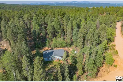 22 Silver Trail, Florissant, CO 80816 - Photo 23