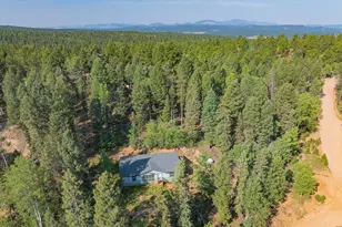 22 Silver Trail, Florissant, CO 80816 - Photo 23