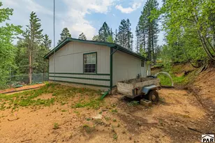 22 Silver Trail, Florissant, CO 80816 - Photo 3