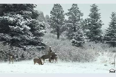 Lot 77 Tres Valles West, La Veta, CO 81055 - Photo 9