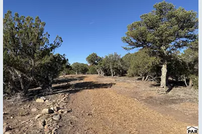 58 Acres County Rd 510, Walsenburg, CO 81089 - Photo 33