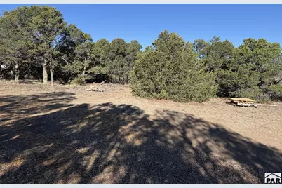 58 Acres County Rd 510, Walsenburg, CO 81089 - Photo 15