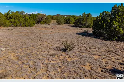 Tbd(Multi) Black Diamond Park, Walsenburg, CO 81089 - Photo 13