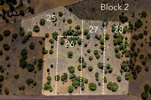 Tbd(Multi) Black Diamond Park, Walsenburg, CO 81089 - Photo 1
