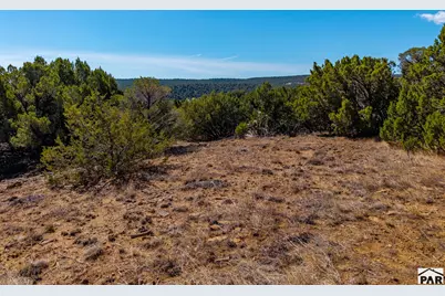 Tbd(Multi) Black Diamond Park, Walsenburg, CO 81089 - Photo 21