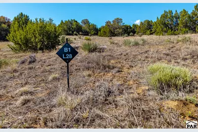 Tbd(Multi) Black Diamond Park, Walsenburg, CO 81089 - Photo 25