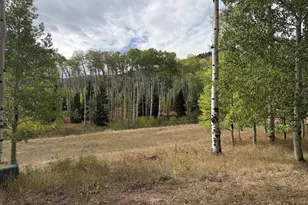 1420 Panadero Ave, La Veta, CO 81055 - Photo 23