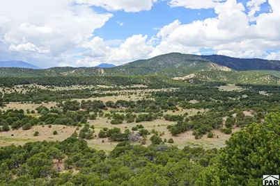 2805 County Road 634, Gardner, CO 81040 - Photo 37