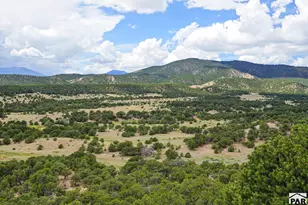 2805 County Rd 634, Gardner, CO 81040 - Photo 37