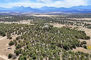 2805 County Rd 634, Gardner, CO 81040 - Photo 5