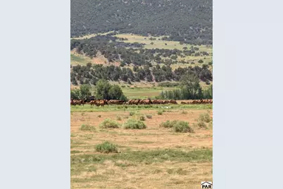 2805 County Road 634, Gardner, CO 81040 - Photo 85
