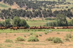 2805 County Rd 634, Gardner, CO 81040 - Photo 85