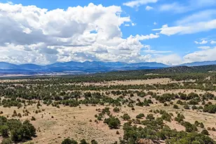 2805 County Rd 634, Gardner, CO 81040 - Photo 43