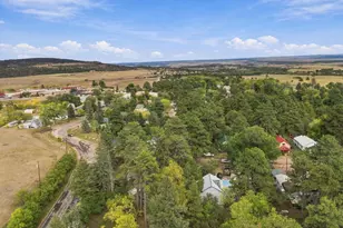 6037 Columbine St, Rye, CO 81069 - Photo 89