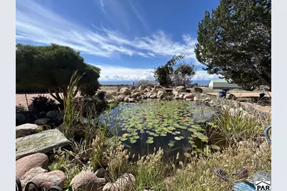 72 Pleasure Trail, Penrose, CO 81240 - Photo 21