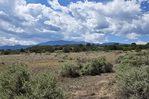 Tbd Tarryall Ave, Colorado City, CO 81019 - Photo 1