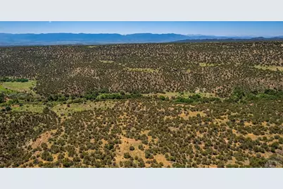 Tbd Highway 115, Penrose, CO 81240 - Photo 5
