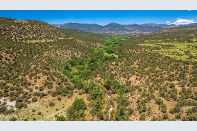 Tbd Highway 115, Penrose, CO 81240 - Photo 13