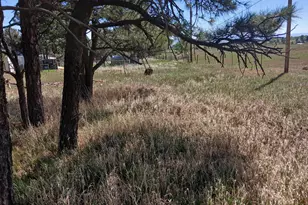 8152 Pine Dr, Rye, CO 81069 - Photo 25