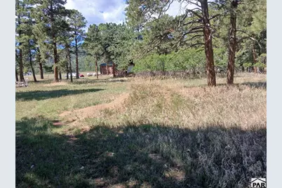 8152 Pine Dr, Rye, CO 81069 - Photo 23
