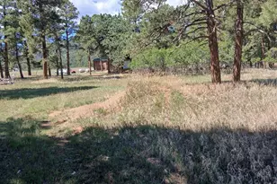8152 Pine Dr, Rye, CO 81069 - Photo 23