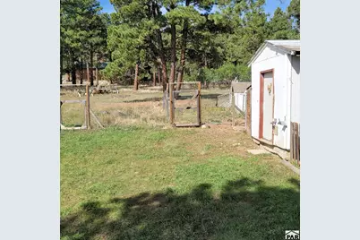 8152 Pine Dr, Rye, CO 81069 - Photo 19