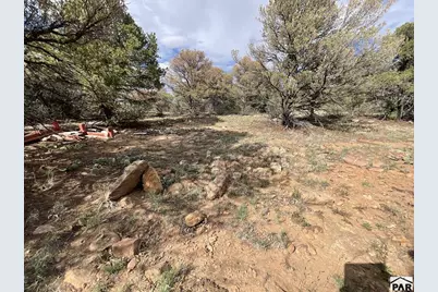 Lot 70 Silver Spurs Ranch, Walsenburg, CO 81089 - Photo 13