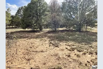 Lot 70 Silver Spurs Ranch, Walsenburg, CO 81089 - Photo 19