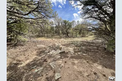 Lot 70 Silver Spurs Ranch, Walsenburg, CO 81089 - Photo 15