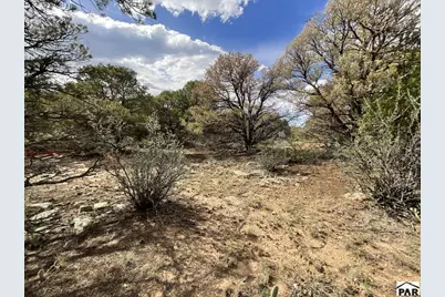Lot 70 Silver Spurs Ranch, Walsenburg, CO 81089 - Photo 9