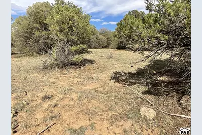 Lot 70 Silver Spurs Ranch, Walsenburg, CO 81089 - Photo 21