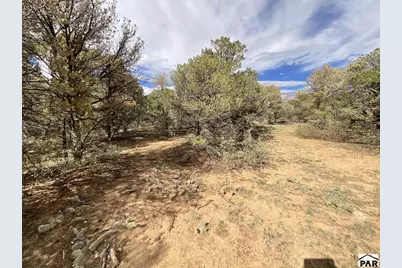 Lot 70 Silver Spurs Ranch, Walsenburg, CO 81089 - Photo 7