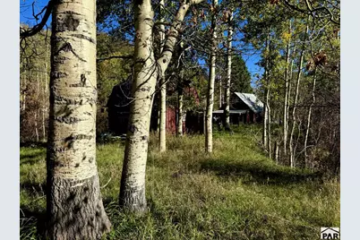349 Columbine Cir, Rye, CO 81069 - Photo 7
