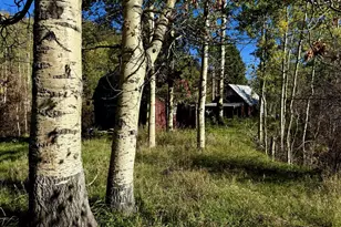 349 Columbine Cir, Rye, CO 81069 - Photo 7