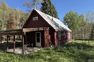 349 Columbine Cir, Rye, CO 81069 - Photo 3