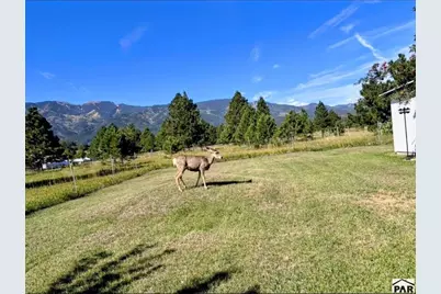 8045 Table Mountain Rd, Rye, CO 81069 - Photo 35