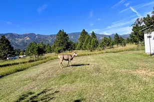 8045 Table Mountain Rd, Rye, CO 81069 - Photo 35
