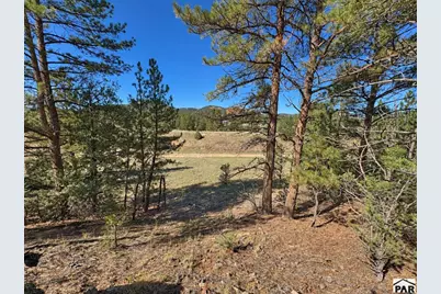 103 Cheyenne Ct, Cotopaxi, CO 81223 - Photo 15