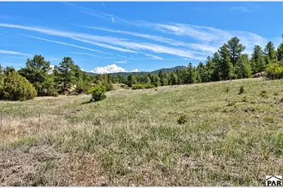 103 Cheyenne Ct, Cotopaxi, CO 81223 - Photo 19